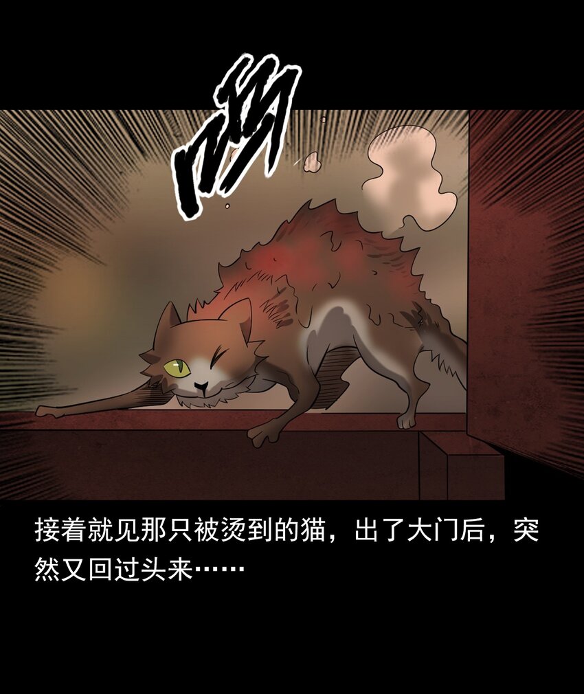 060 苗山猫妖(1/2)-第60话