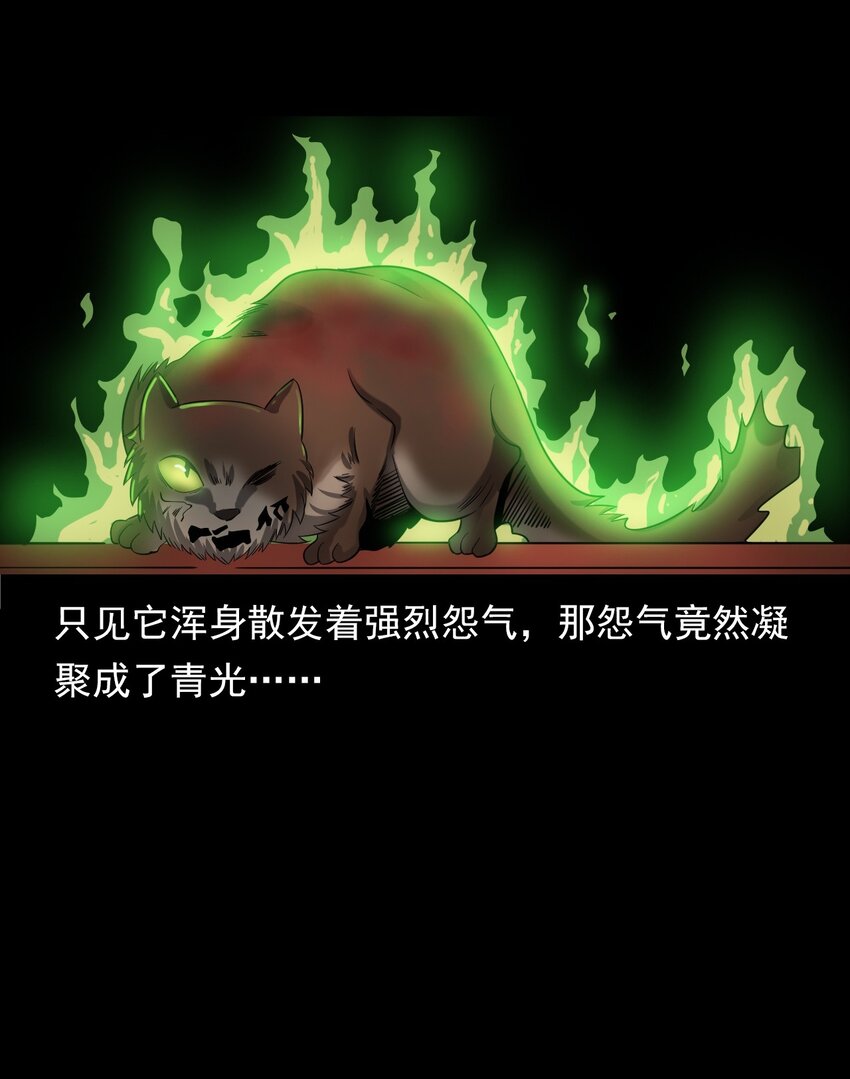 060 苗山猫妖(1/2)-第60话