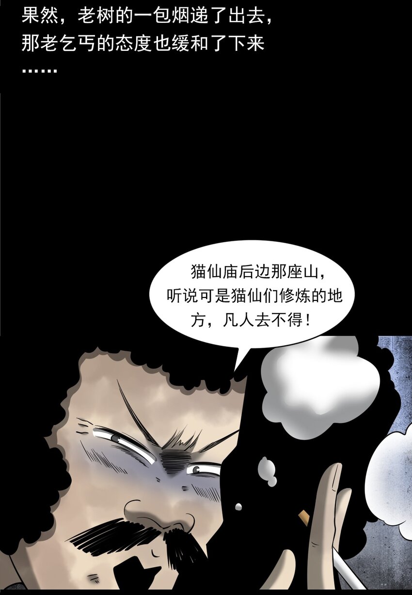 062 猫仙庙(1/3)-第62话