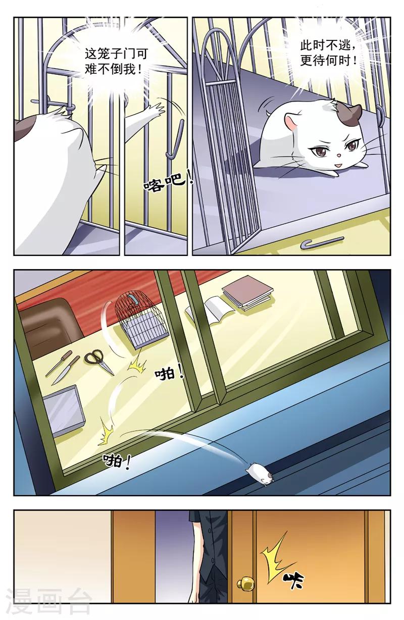 变身诅咒 - 第114话 功能之一 - 2