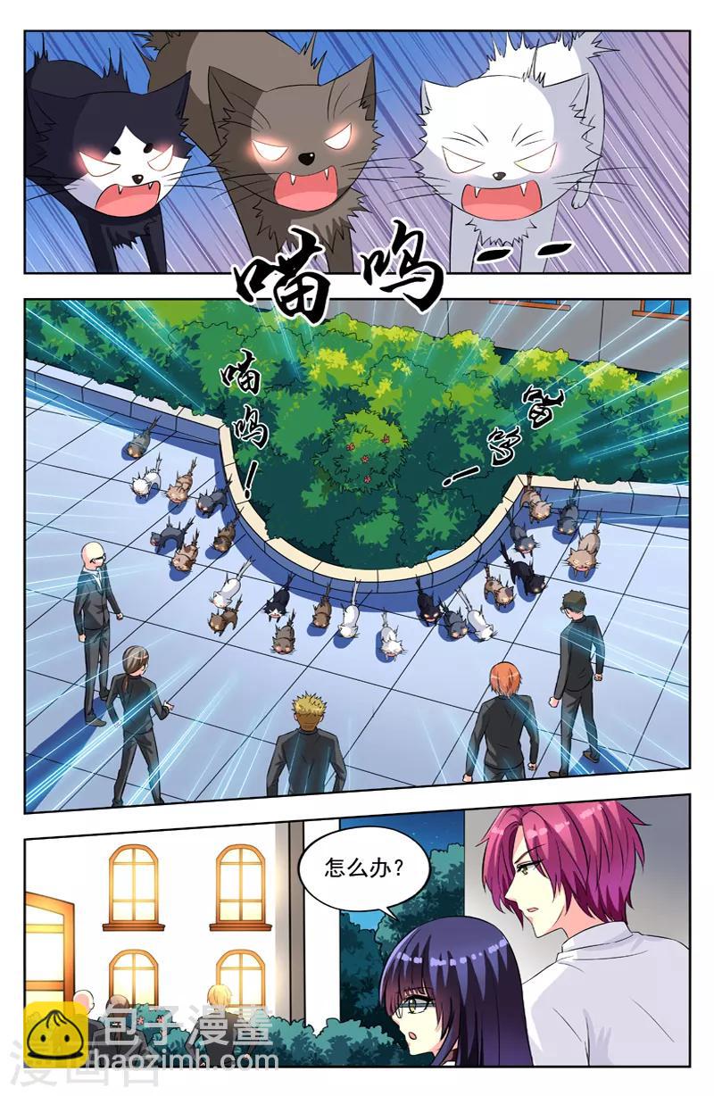 第54话 群猫-第54话