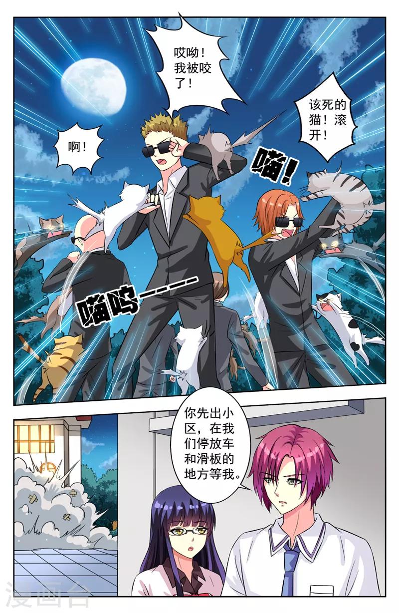 第54话 群猫-第54话