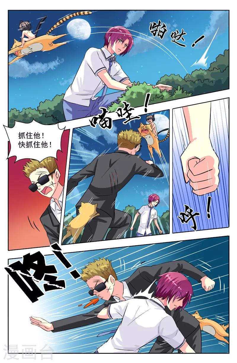 第54话 群猫-第54话