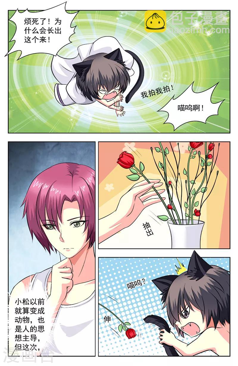 第58话 猫迎松-第58话