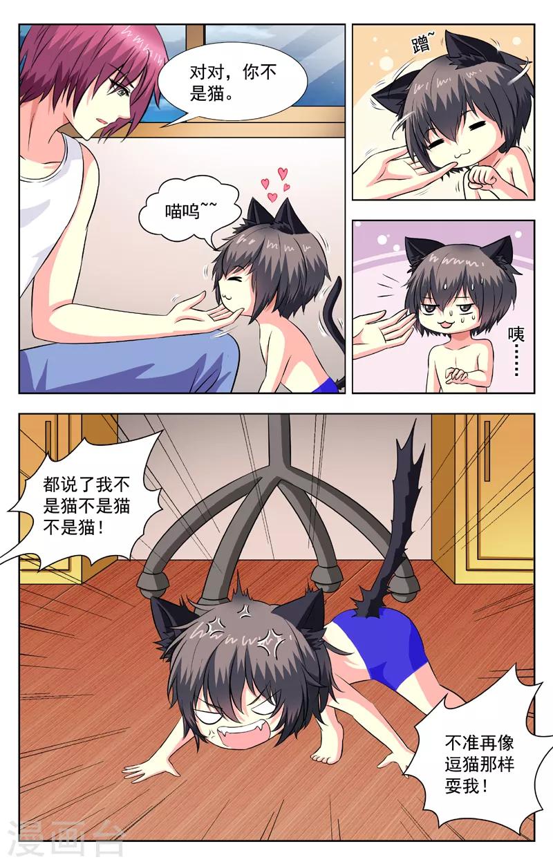 第58话 猫迎松-第58话