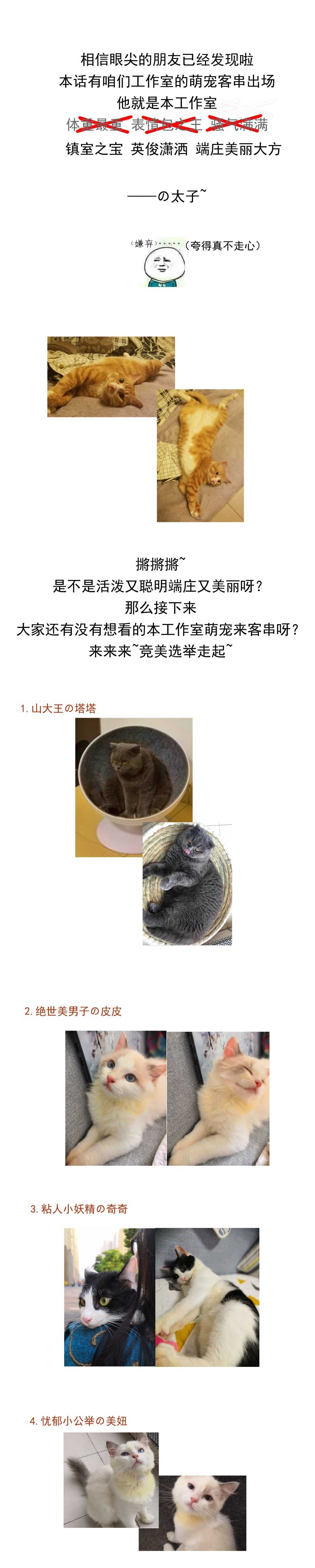 第128话 这羞羞的心情是什么？-第130话