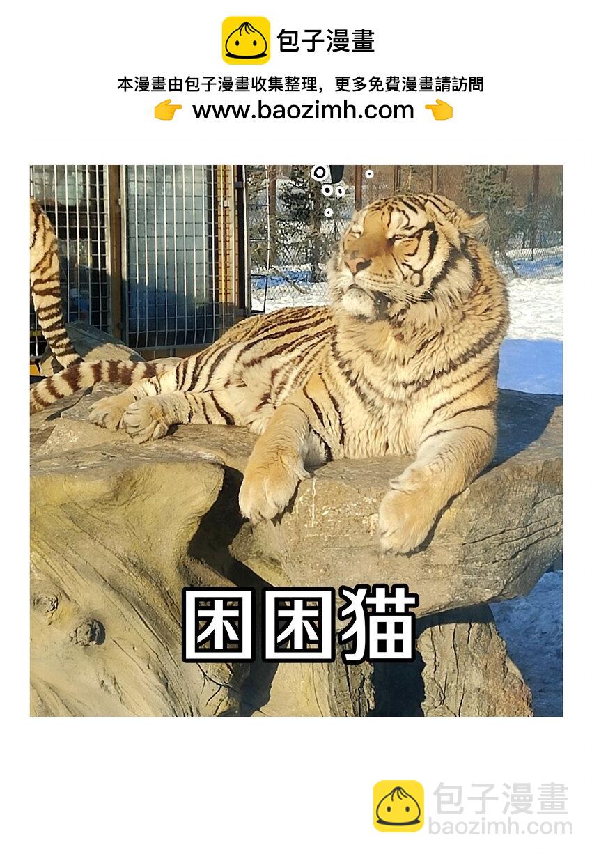 调更 一女子 竟为了去看猫&hellip;&hellip;-第124话