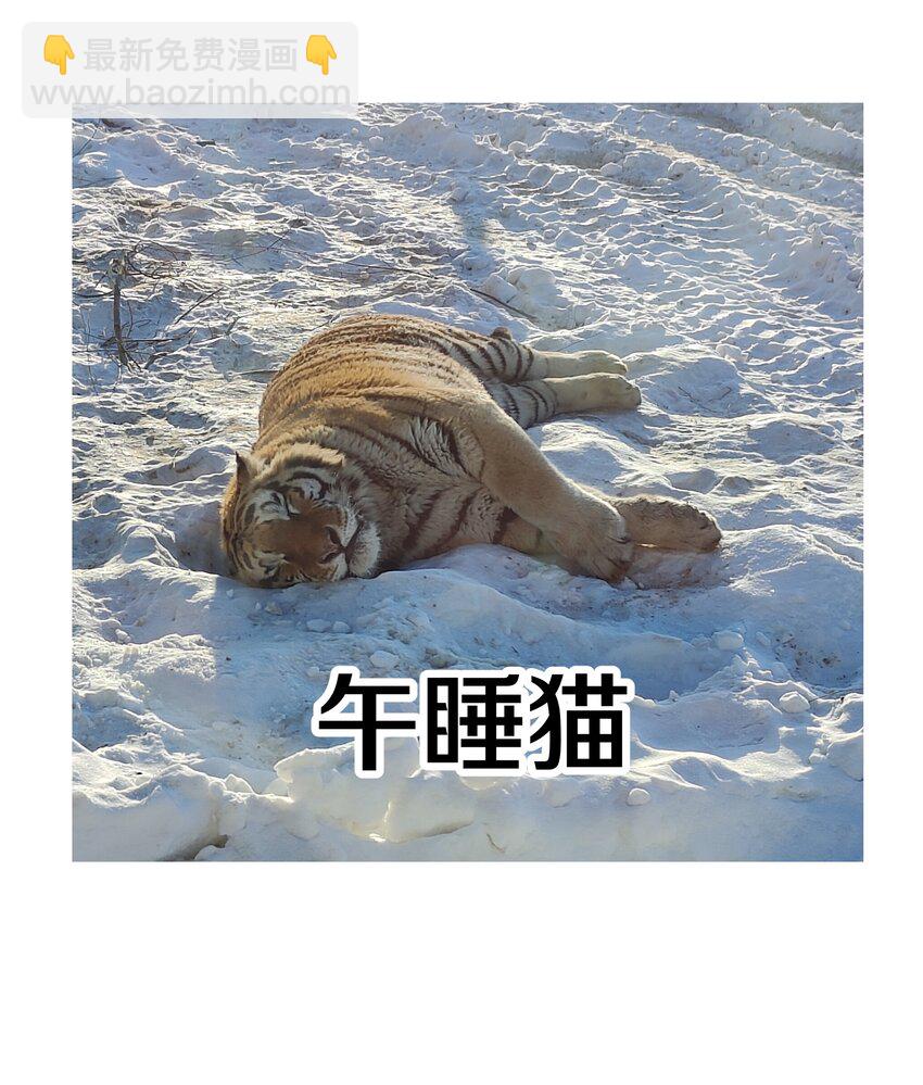 调更 一女子 竟为了去看猫&hellip;&hellip;-第124话