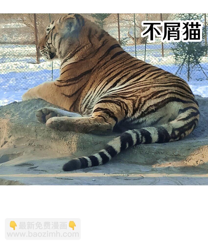 调更 一女子 竟为了去看猫&hellip;&hellip;-第124话