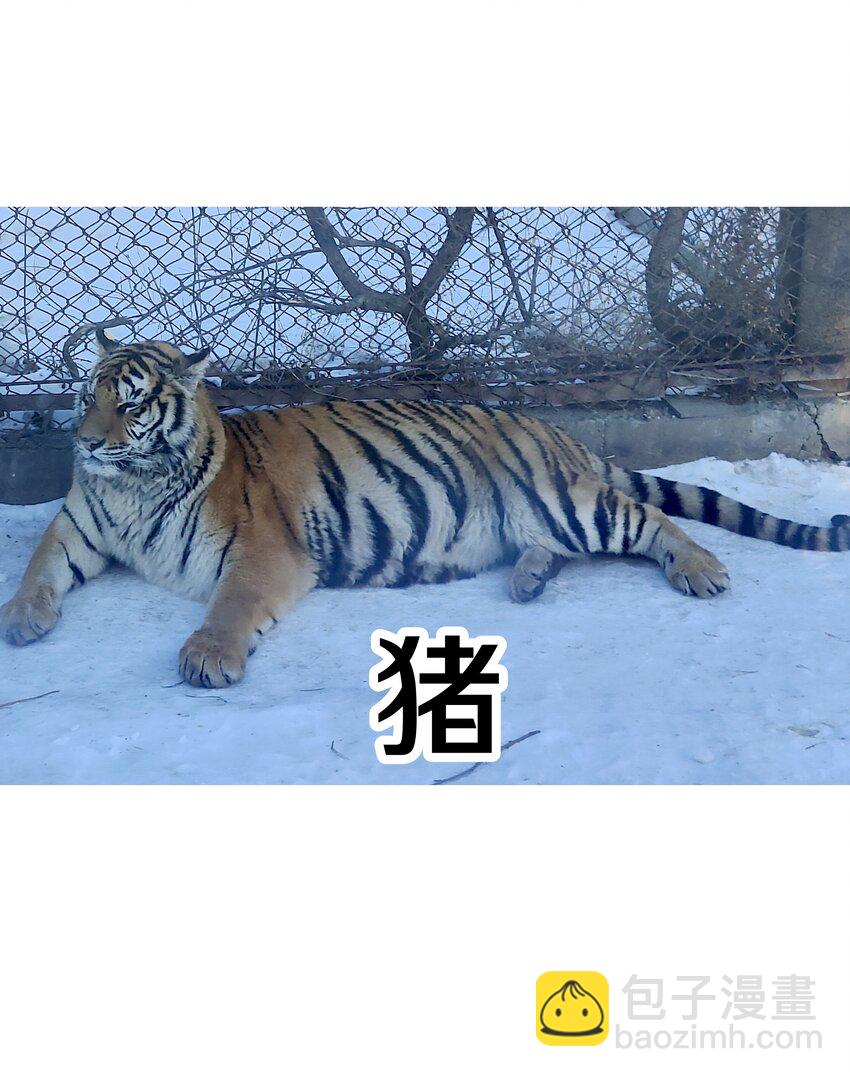 调更 一女子 竟为了去看猫&hellip;&hellip;-第124话