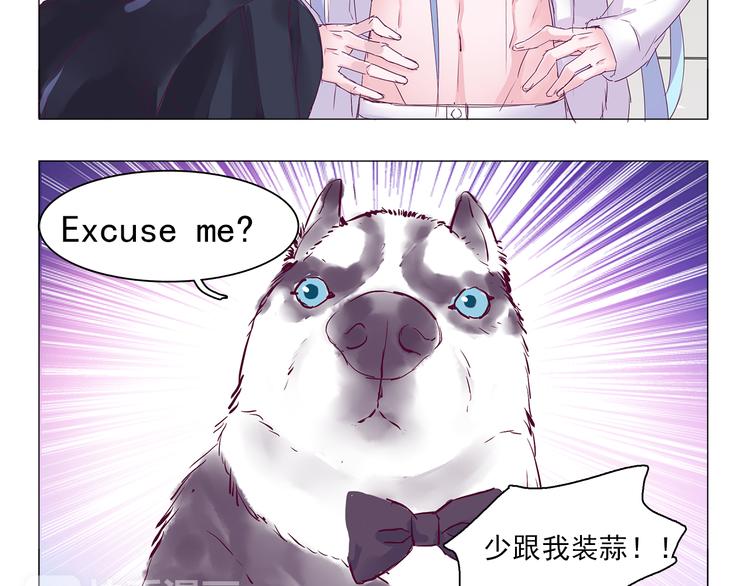 第6话 只想吃你的皇家狗粮-第6话