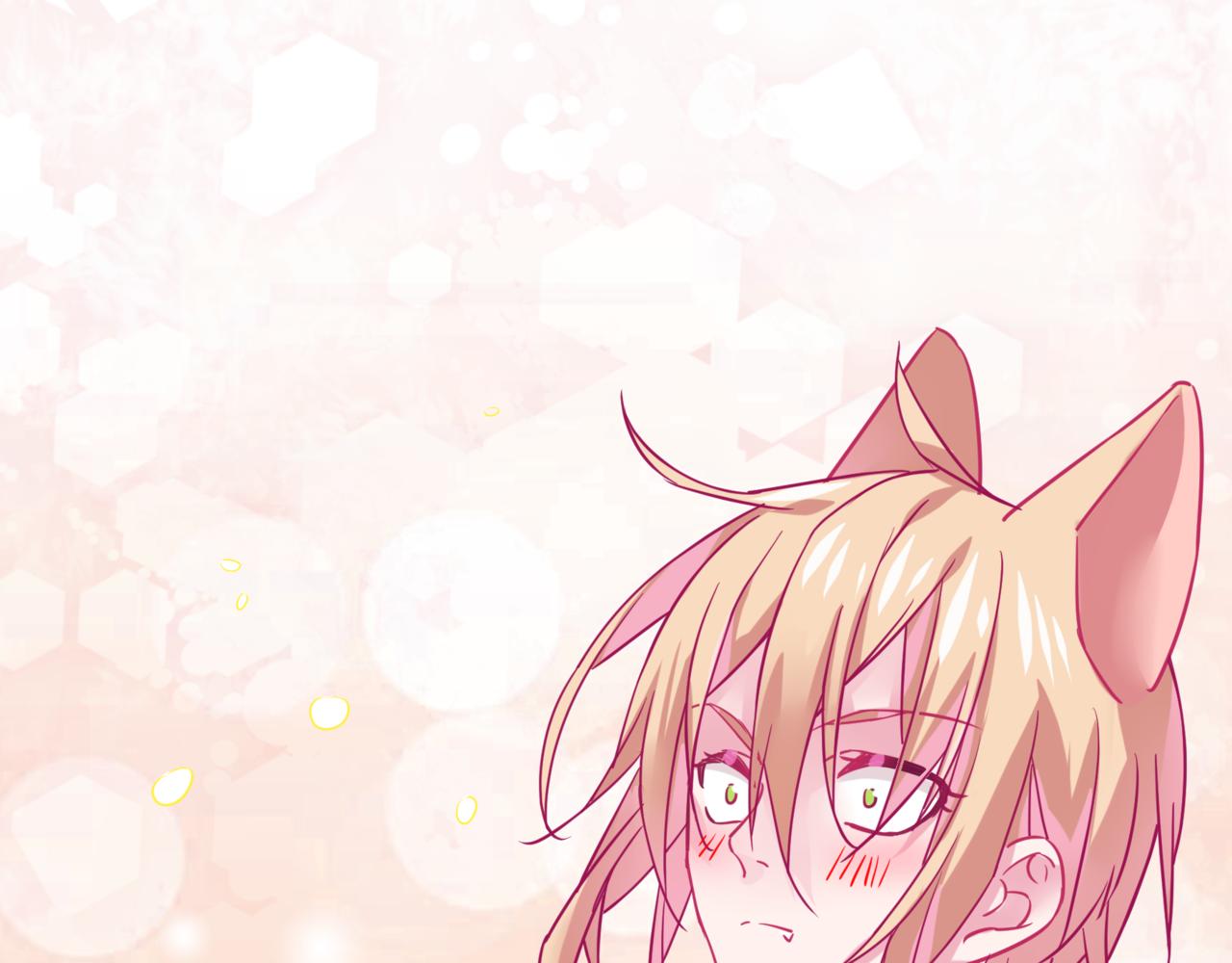 第14话 被喵绑架-第70话