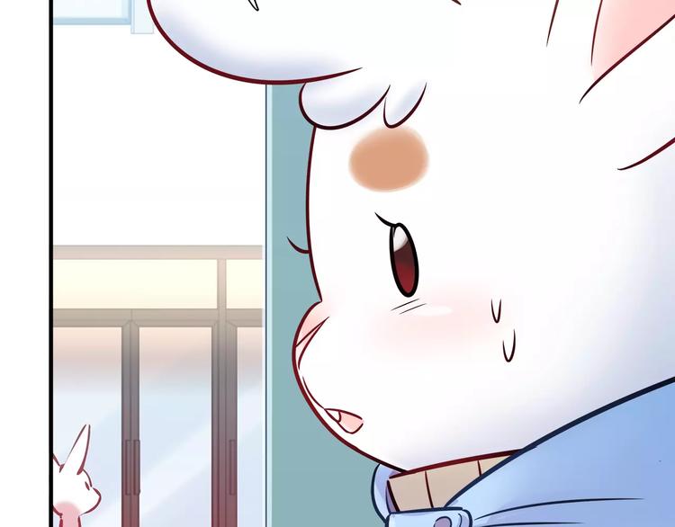 第34话 兔子明星(1/2)-第34话