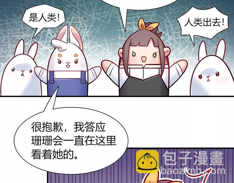 第36话 忽悠人的兔子(1/2)-第36话