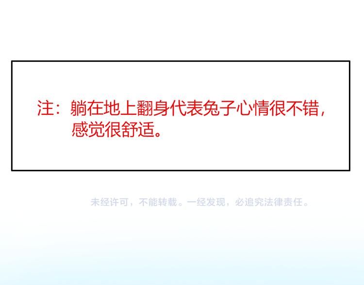 特别篇 关于兔子的那些事04-第60话