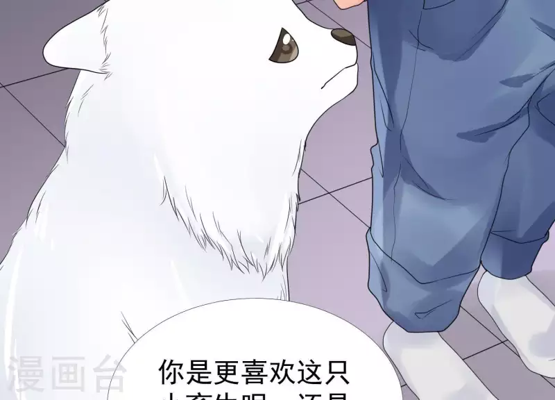 第43话 我不需要你的可怜(1/2)-第42话