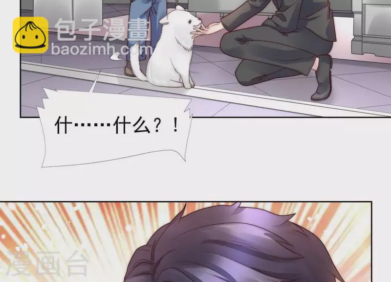 第43话 我不需要你的可怜(1/2)-第42话