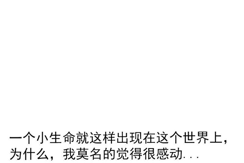 第88话 就叫他小豆子吧！-第88话