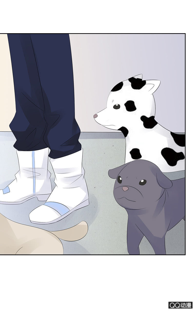 惊天的异象(1/2)-第12话