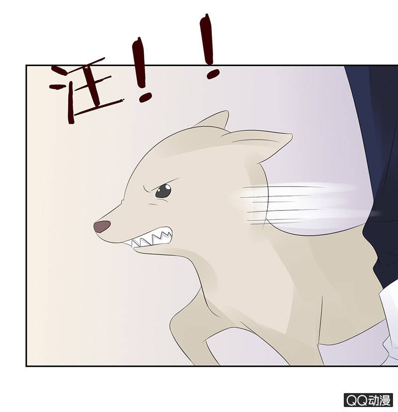 惊天的异象(1/2)-第12话