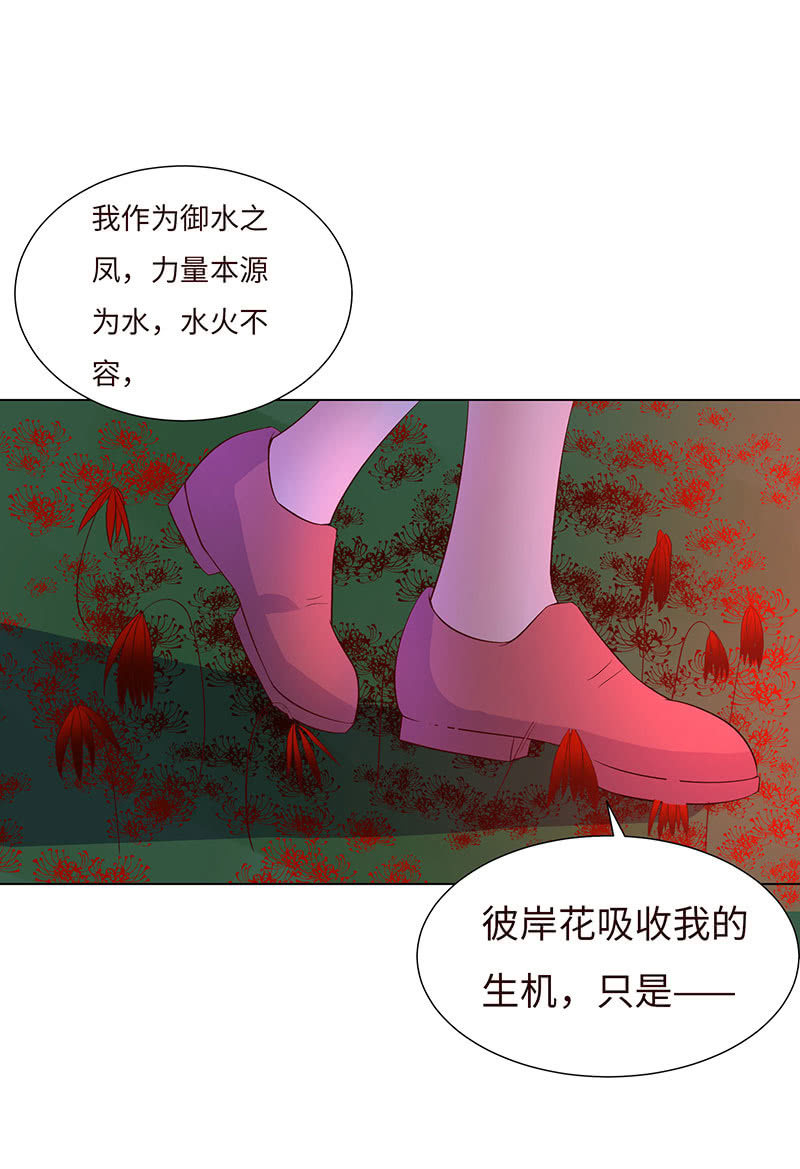 上善若水(1/2)-第136话