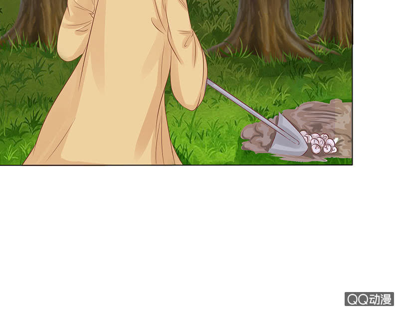 久别的重逢(1/2)-第46话