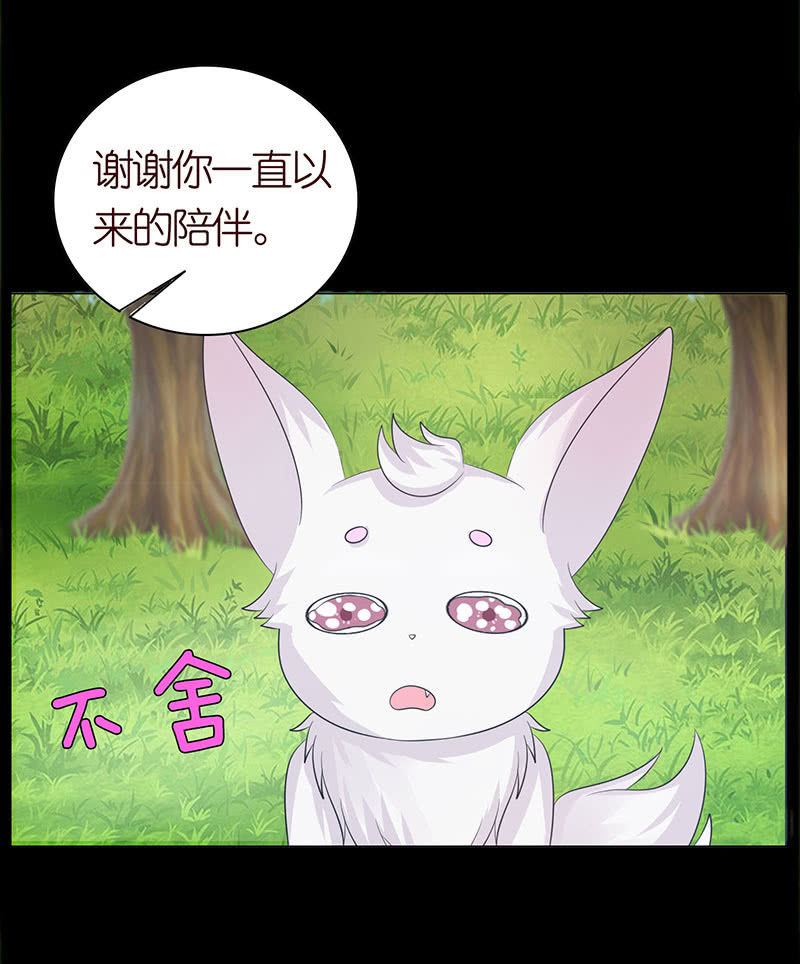 千载不相负(1/2)-第52话