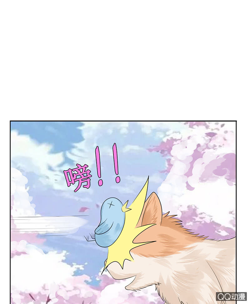 神秘的蛋蛋(1/2)-第54话