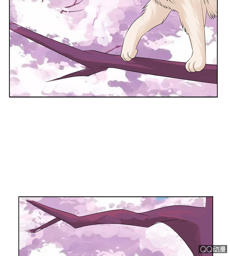 神秘的蛋蛋(1/2)-第54话