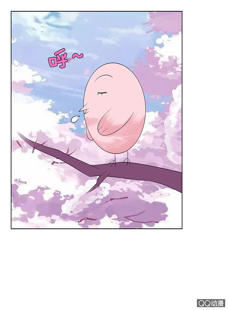 神秘的蛋蛋(1/2)-第54话