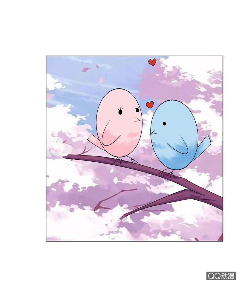 神秘的蛋蛋(1/2)-第54话