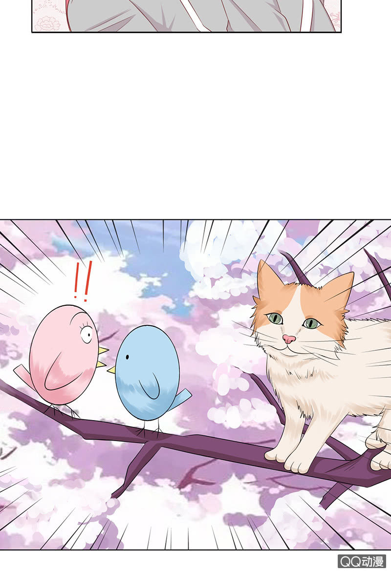 神秘的蛋蛋(1/2)-第54话