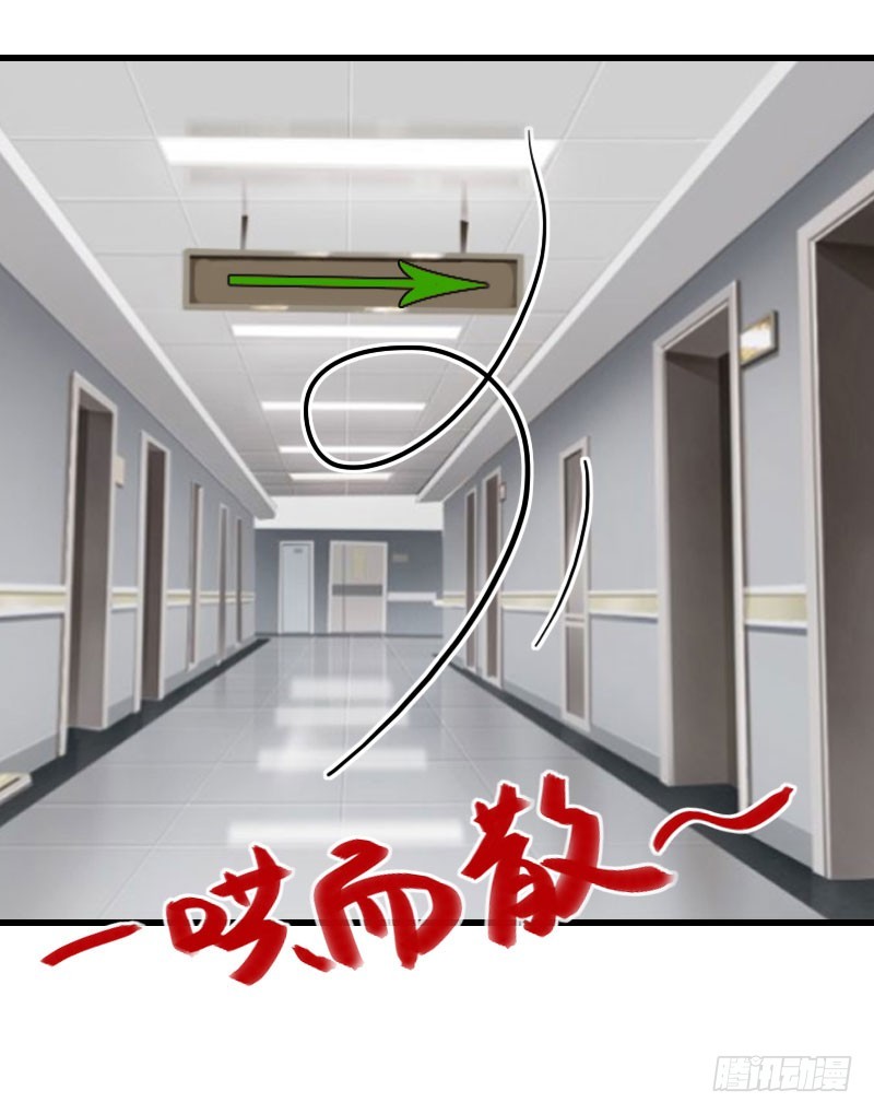 第72话 我的地盘-第72话