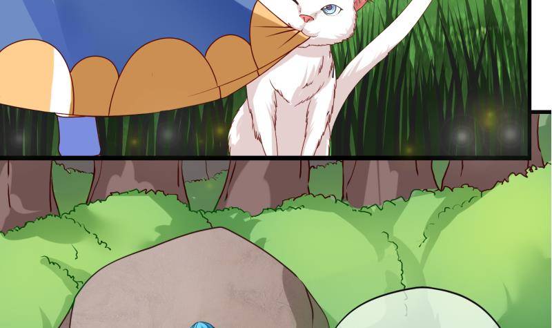 第11话 灵根是啥 能吃嘛？3-第12话