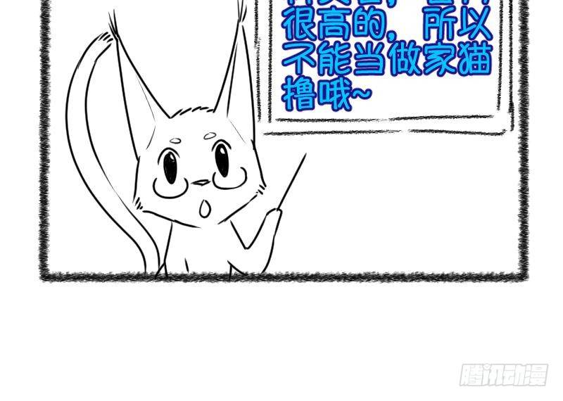 第29话  雨夜 1-第30话