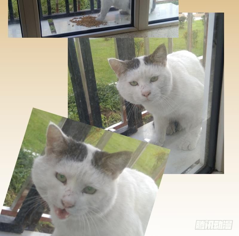 第37话 阴险的师兄 3-第38话