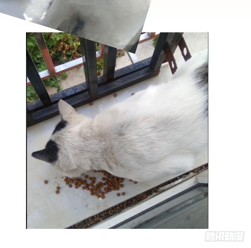 第37话 阴险的师兄 3-第38话