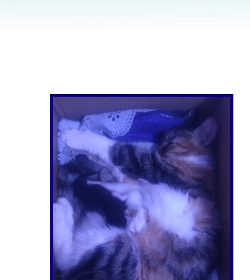 第55话 灵力没了可咋办 3-第56话