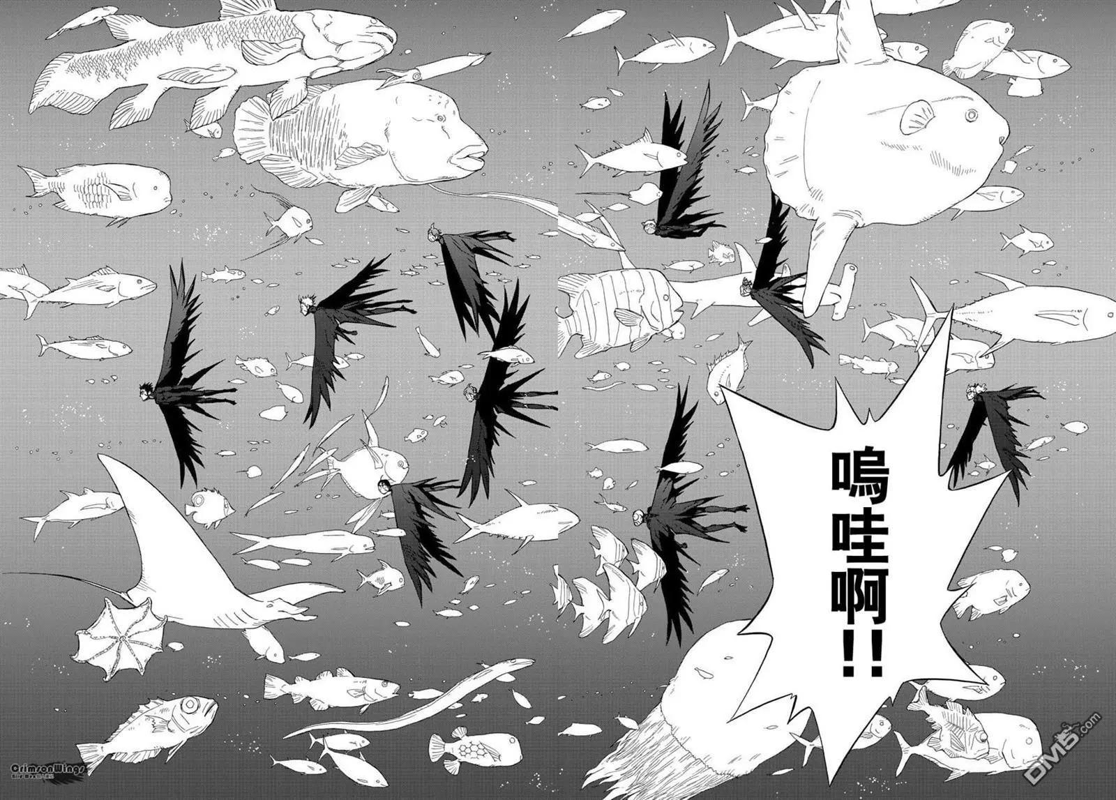 BIRDMEN~鳥男~ - 第50回 SIBLINGS - 6