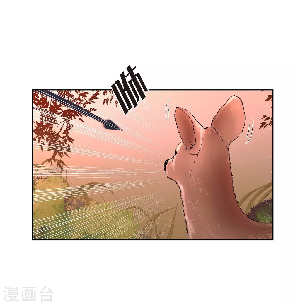 第26话 打猎(1/2)-第26话