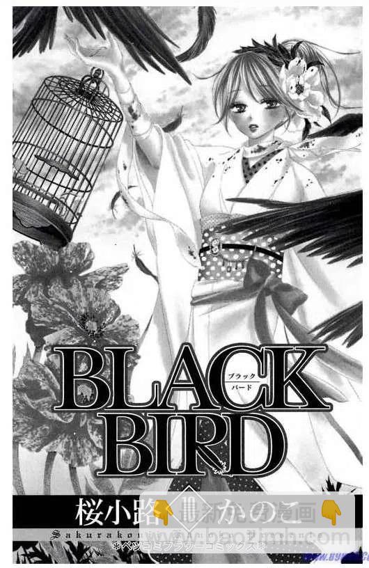 BLACK BIRD-黑鳥戀人- - 第10卷(1/4) - 2