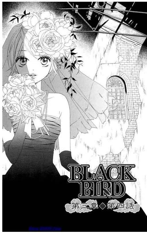 BLACK BIRD-黑鳥戀人- - 第10卷(1/4) - 6