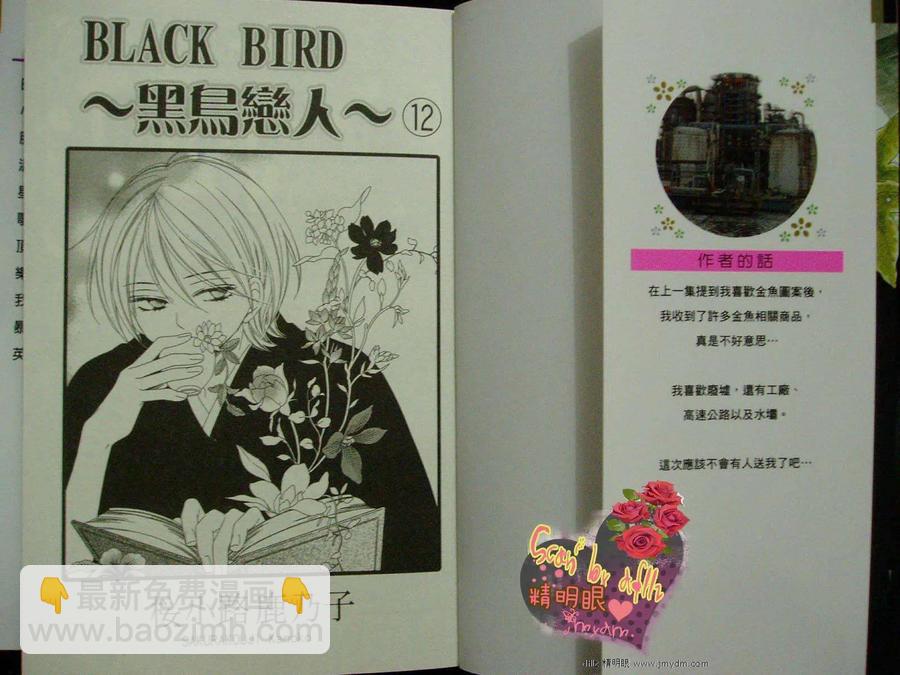 BLACK BIRD-黑鳥戀人- - 第12卷(1/2) - 2