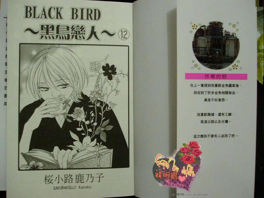 BLACK BIRD-黑鳥戀人- - 第12卷(1/2) - 2