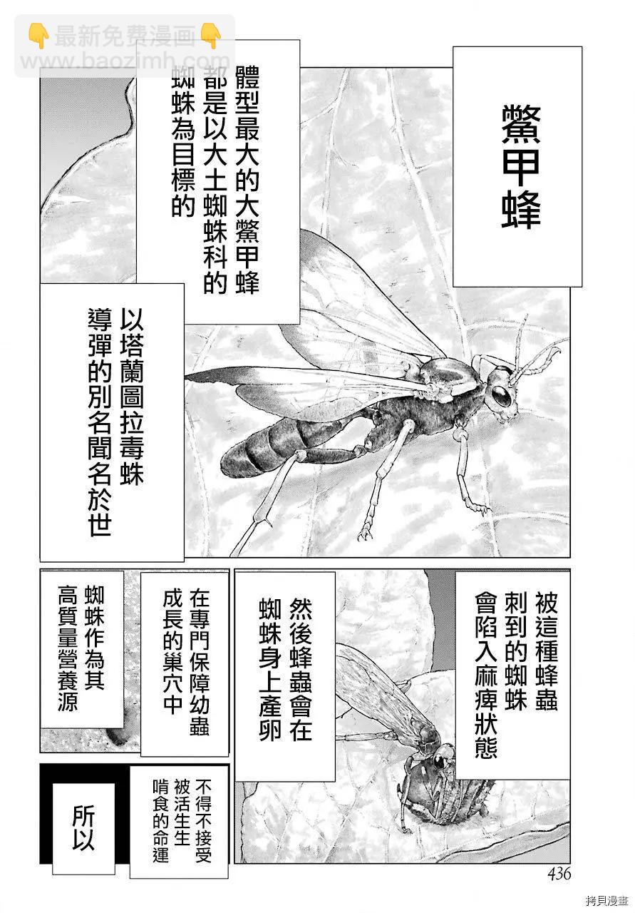 blattodea - 第10話 - 6