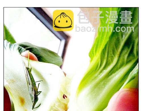 第44话 2014年10月-第44话