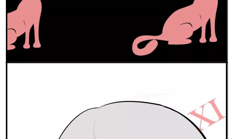 第24话 喵伯爵~-第24话