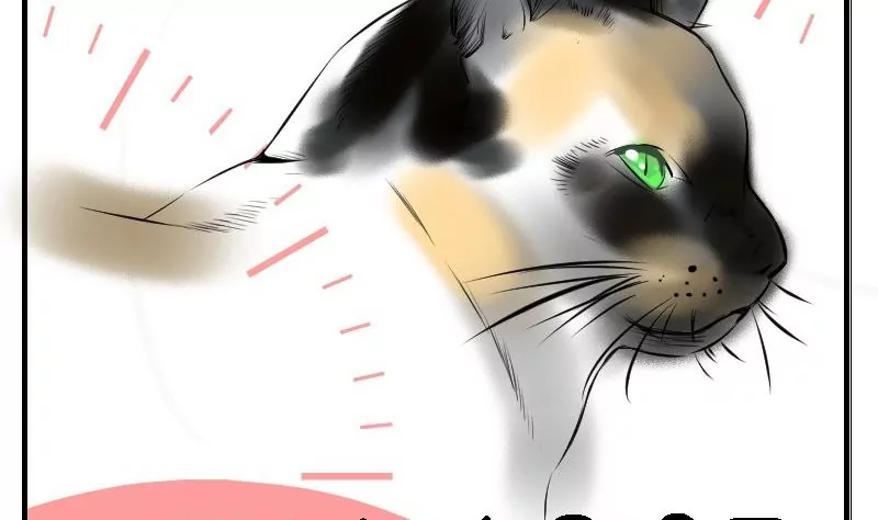 第24话 喵伯爵~-第24话