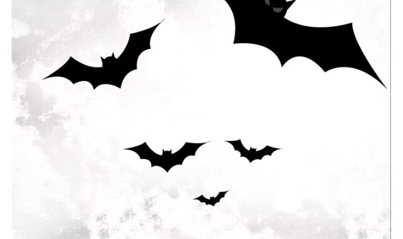 第34话 蚊子-第34话