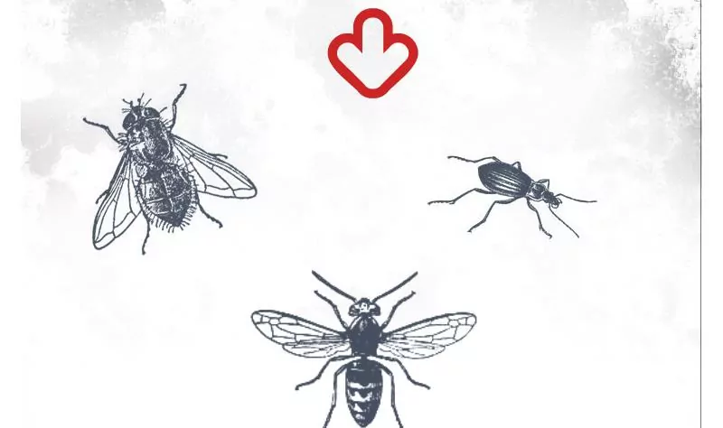 第34话 蚊子-第34话